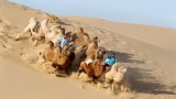 Racing down the sand dune