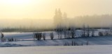 Winter landscape with fog 2